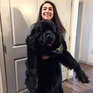 Meet your Posher, Lara